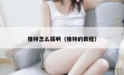 推特怎么搞啊（推特的教程）