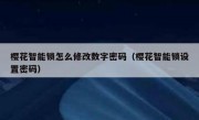 樱花智能锁怎么修改数字密码（樱花智能锁设置密码）