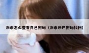 派币怎么查看自己密码（派币账户密码找回）