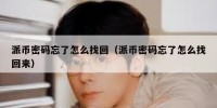 派币密码忘了怎么找回（派币密码忘了怎么找回来）
