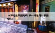ins评论能带图片吗（ins评论可以发图片吗）
