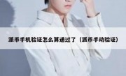 派币手机验证怎么算通过了（派币手动验证）
