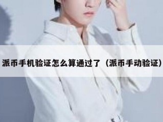 派币手机验证怎么算通过了（派币手动验证）