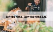国外抖音叫什么（国外抖音叫什么名称）