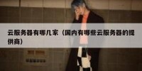 云服务器有哪几家（国内有哪些云服务器的提供商）