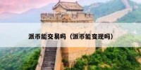 派币能交易吗（派币能变现吗）