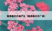服务器芯片国产化（服务器芯片厂商）