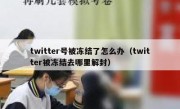 twitter号被冻结了怎么办（twitter被冻结去哪里解封）