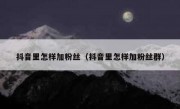 抖音里怎样加粉丝（抖音里怎样加粉丝群）