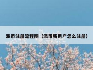 派币注册流程图（派币新用户怎么注册）