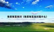 免密免签支付（免密免签支付是什么）