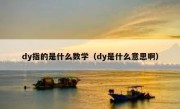 dy指的是什么数学（dy是什么意思啊）