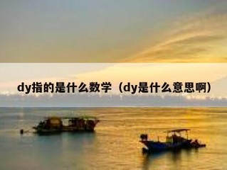 dy指的是什么数学（dy是什么意思啊）