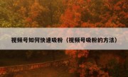 视频号如何快速吸粉（视频号吸粉的方法）