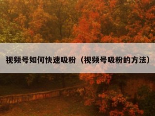 视频号如何快速吸粉（视频号吸粉的方法）