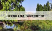 油管粉丝量排名（油管粉丝排行榜）