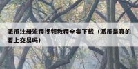 派币注册流程视频教程全集下载（派币是真的要上交易吗）