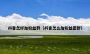 抖音怎样加粉丝群（抖音怎么加粉丝团群）