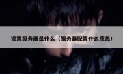 设置服务器是什么（服务器配置什么意思）