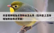 抖音视频增加点赞粉丝怎么弄（在抖音上怎样增加粉丝和点赞量）