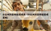 什么叫抖音粉丝团成员（什么叫抖音粉丝团成员呢）