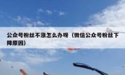 公众号粉丝不涨怎么办呀（微信公众号粉丝下降原因）