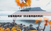 云服务器利润（卖云服务器的利润）