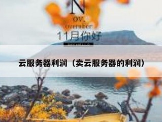 云服务器利润（卖云服务器的利润）