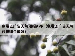 免费无广告天气预报APP（免费无广告天气预报哪个最好）