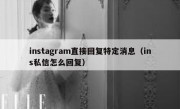 instagram直接回复特定消息（ins私信怎么回复）