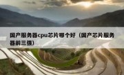 国产服务器cpu芯片哪个好（国产芯片服务器前三强）