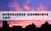 限行尾号怎么处罚北京（北京车辆限行尾号怎么处罚）