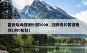 视频号如何涨粉到1000（视频号如何涨粉到1000粉丝）