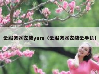 云服务器安装yum（云服务器安装云手机）