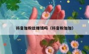 抖音加粉丝赚钱吗（抖音粉加加）