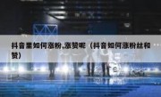 抖音里如何涨粉,涨赞呢（抖音如何涨粉丝和赞）