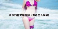 派币钱包安装视频（派币怎么安装）