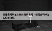 樱花密码锁怎么删除指纹密码（樱花密码锁怎么设置指纹）