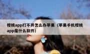 樱桃app打不开怎么办苹果（苹果手机樱桃app是什么软件）