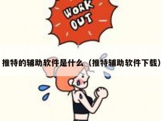 推特的辅助软件是什么（推特辅助软件下载）