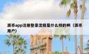 派币app注册登录流程是什么样的啊（派币用户）