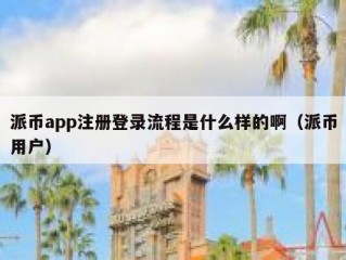 派币app注册登录流程是什么样的啊（派币用户）