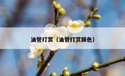 油管打赏（油管打赏颜色）
