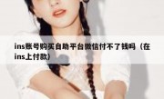 ins账号购买自助平台微信付不了钱吗（在ins上付款）
