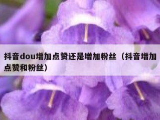 抖音dou增加点赞还是增加粉丝（抖音增加点赞和粉丝）