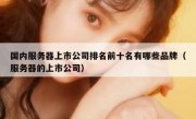 国内服务器上市公司排名前十名有哪些品牌（服务器的上市公司）
