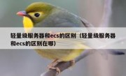 轻量级服务器和ecs的区别（轻量级服务器和ecs的区别在哪）