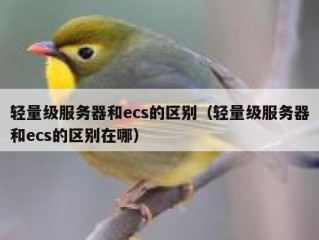 轻量级服务器和ecs的区别（轻量级服务器和ecs的区别在哪）
