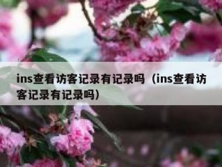 ins查看访客记录有记录吗（ins查看访客记录有记录吗）
