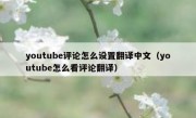 youtube评论怎么设置翻译中文（youtube怎么看评论翻译）